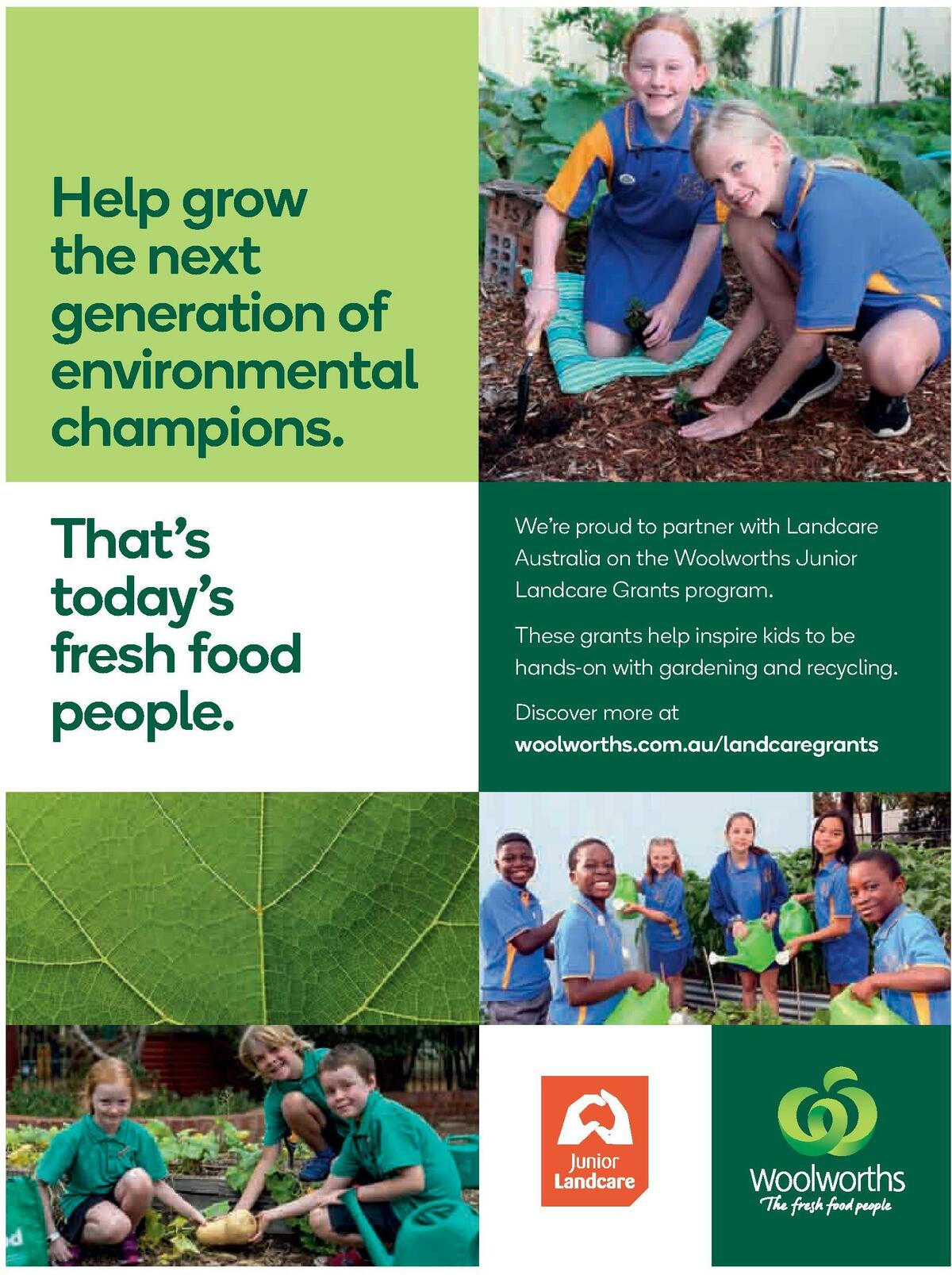 Woolworths Magazine June Catalogues from 1 June