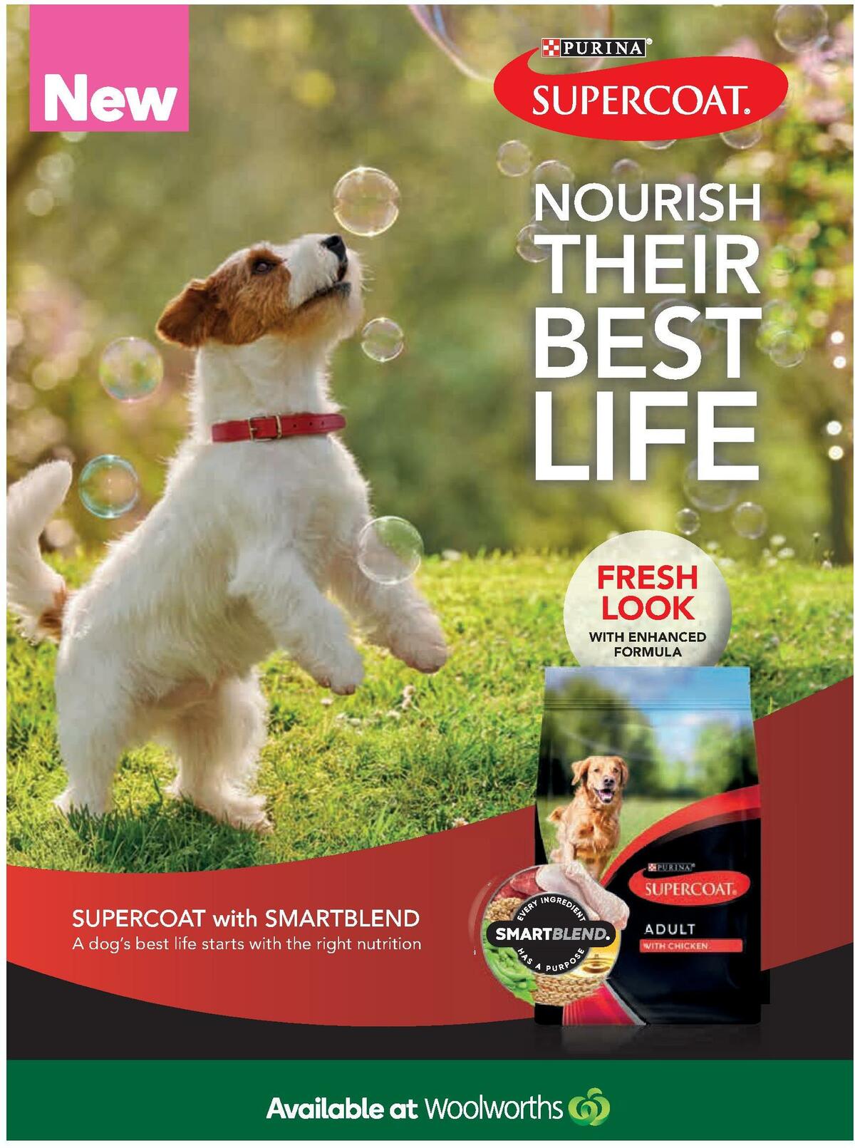 Woolworths Fresh Ideas Magazine October Catalogues from 1 October