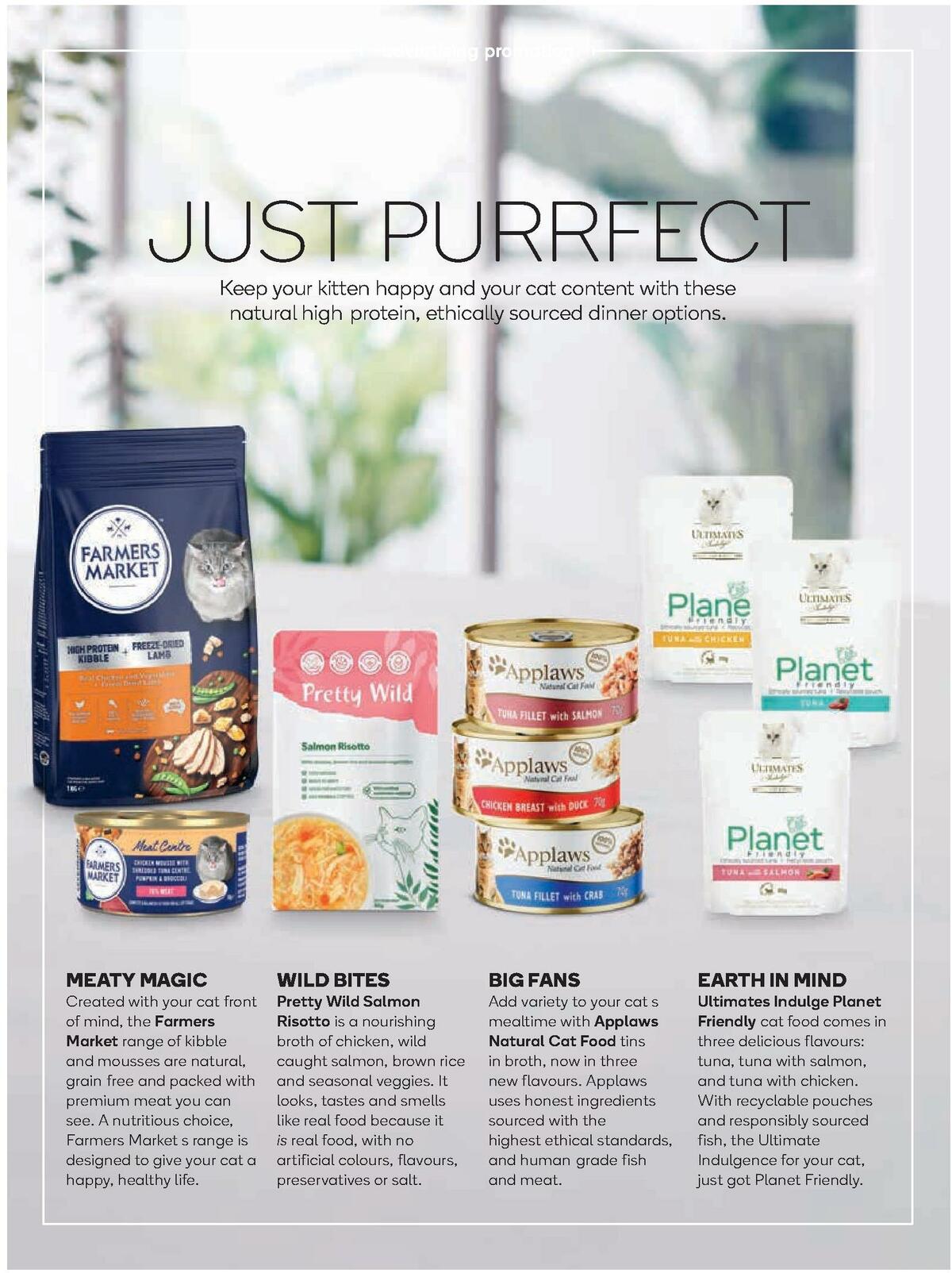 Woolworths Fresh Ideas Magazine October Catalogues from 1 October