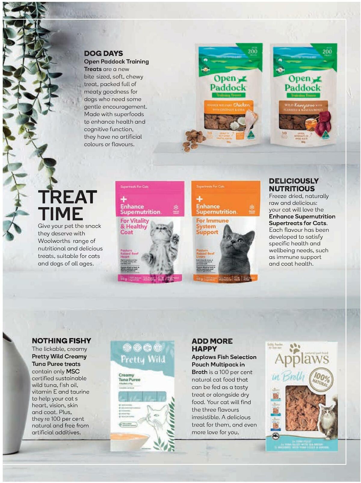 Woolworths Fresh Ideas Magazine October Catalogues from 1 October