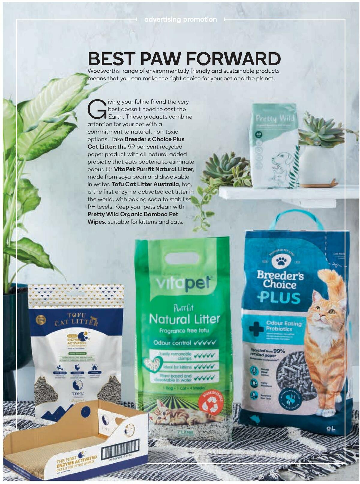 Woolworths Fresh Ideas Magazine October Catalogues from 1 October