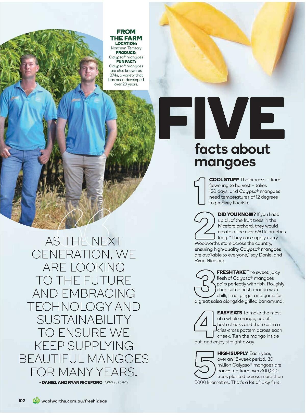 Woolworths Fresh Ideas Magazine November Catalogues from 1 November