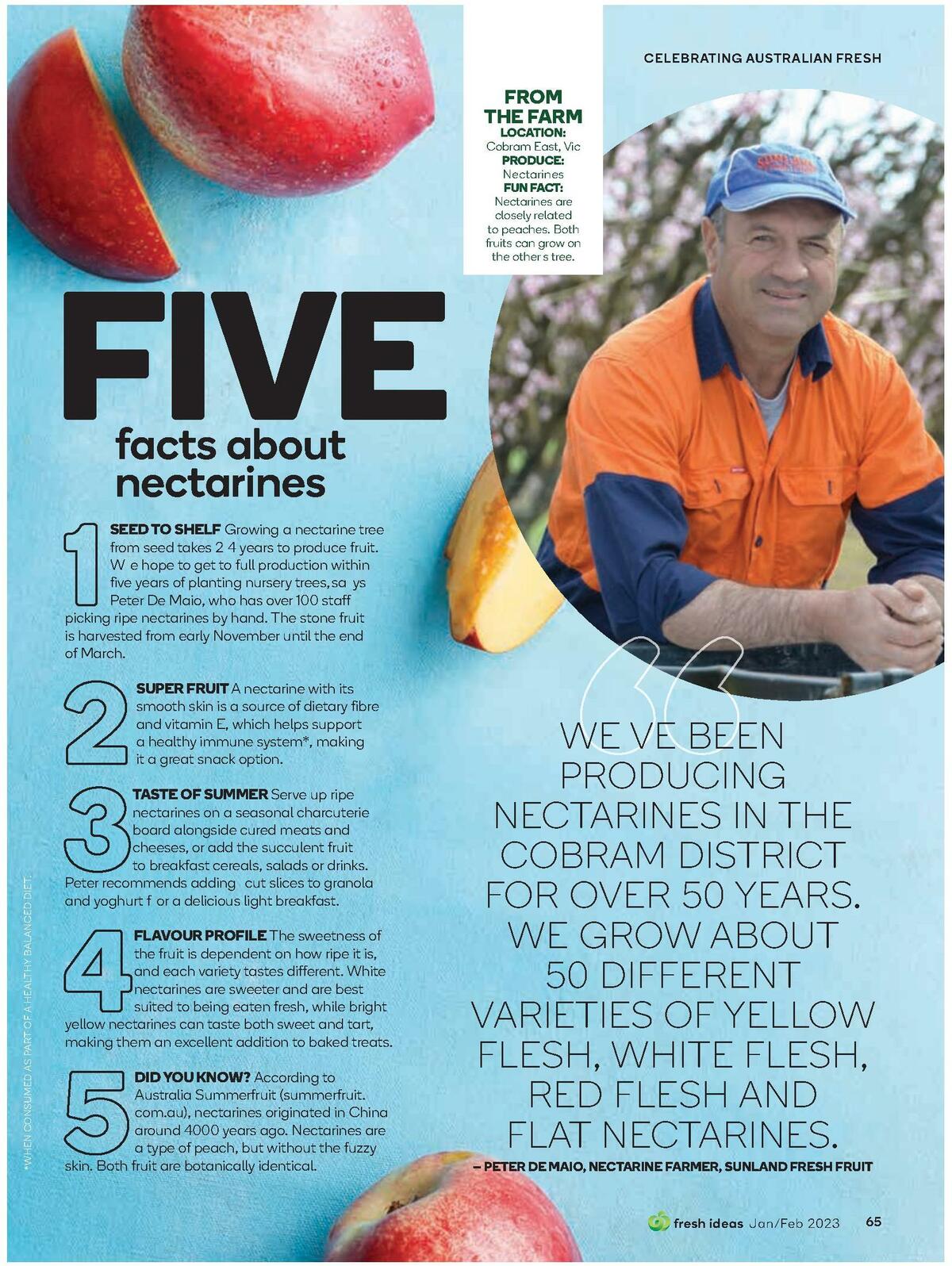 Woolworths Fresh Ideas Magazine January/February Catalogues from 1 January