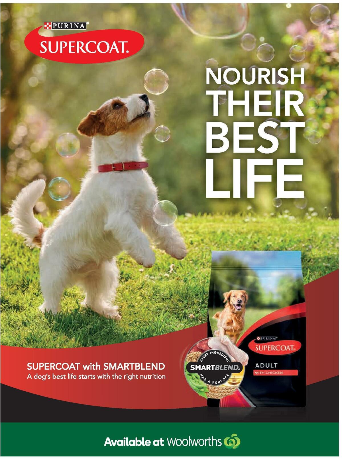 Woolworths Magazine April Catalogues from 1 April