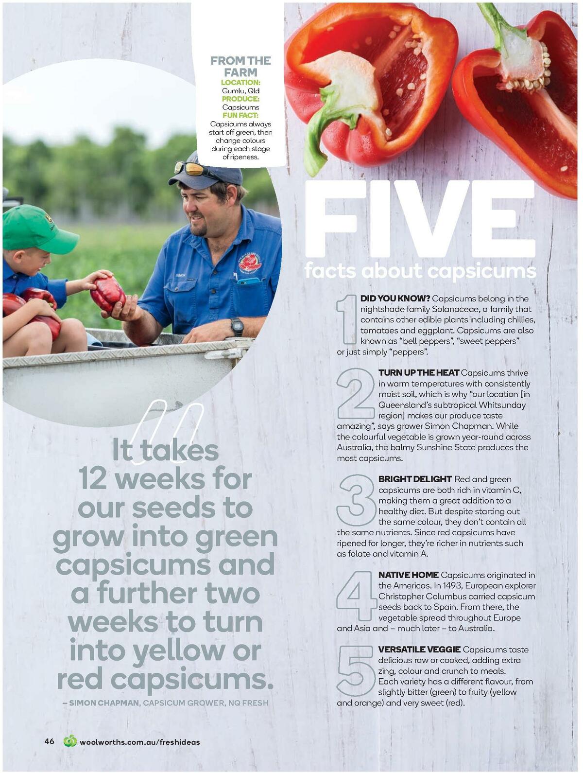 Woolworths Magazine June Catalogues from 1 June