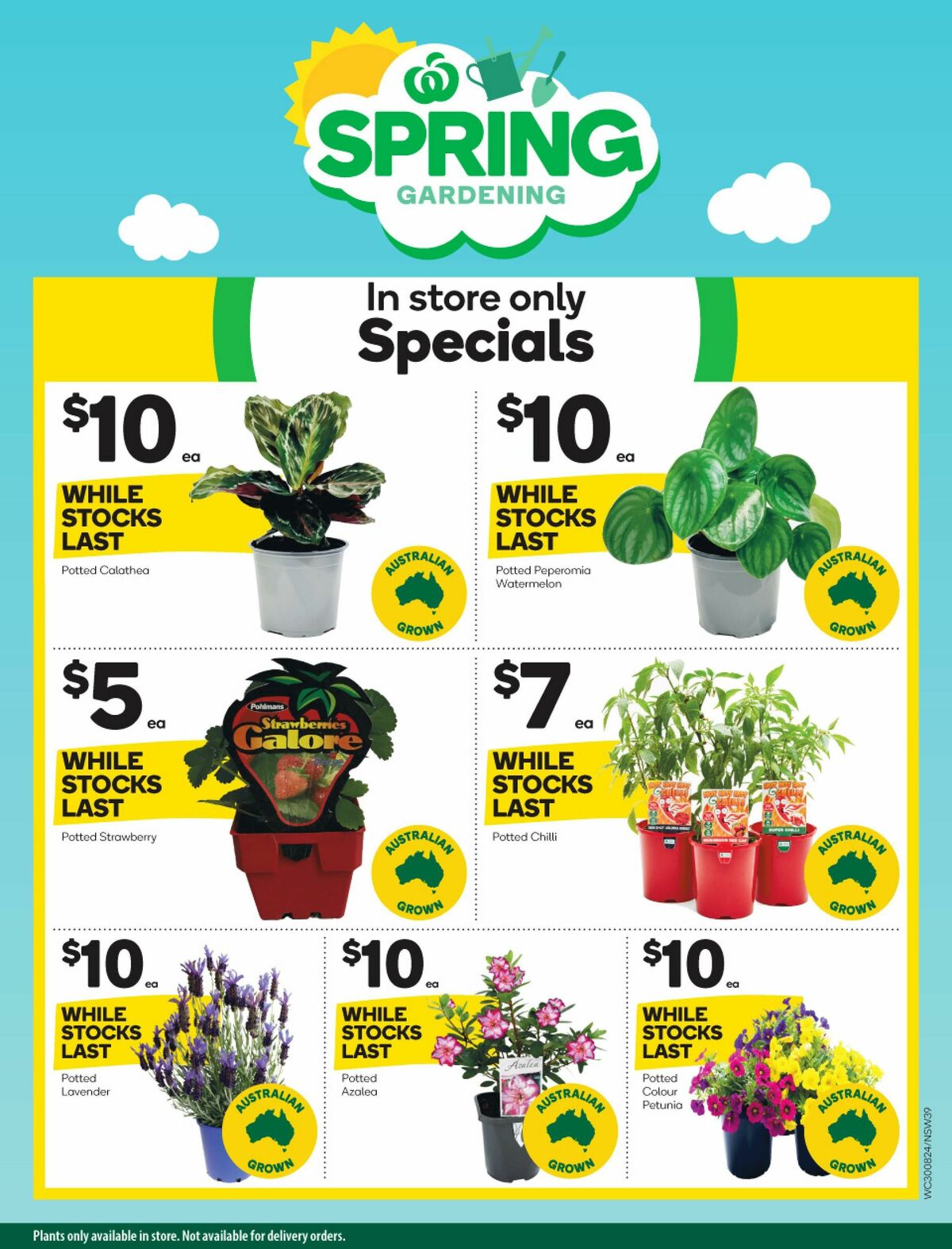 Woolworths Catalogues from 30 August