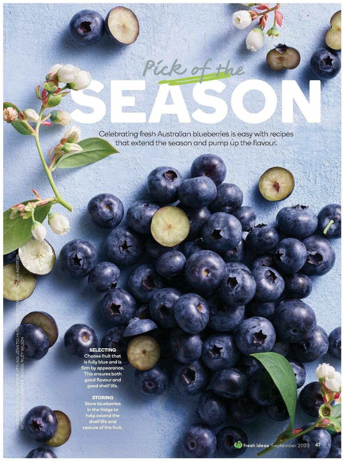 Woolworths Magazine September Catalogues from 1 September