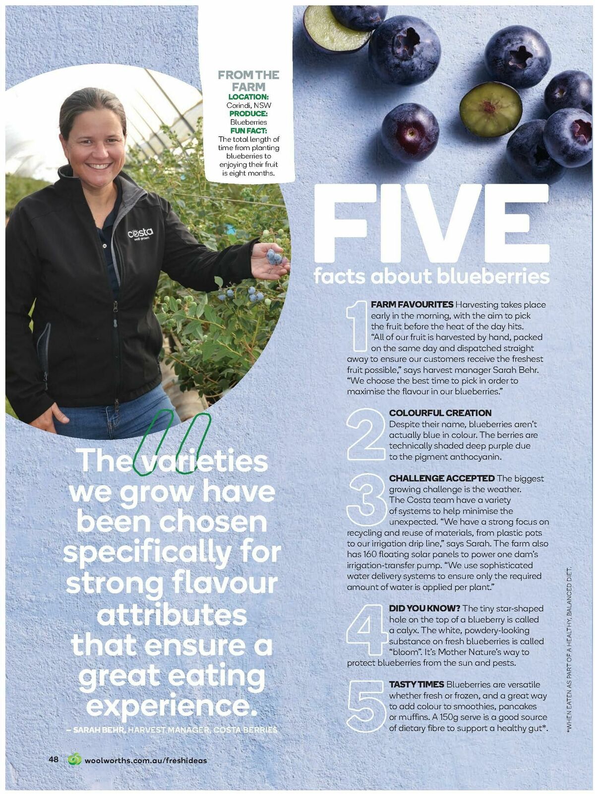 Woolworths Magazine September Catalogues from 1 September