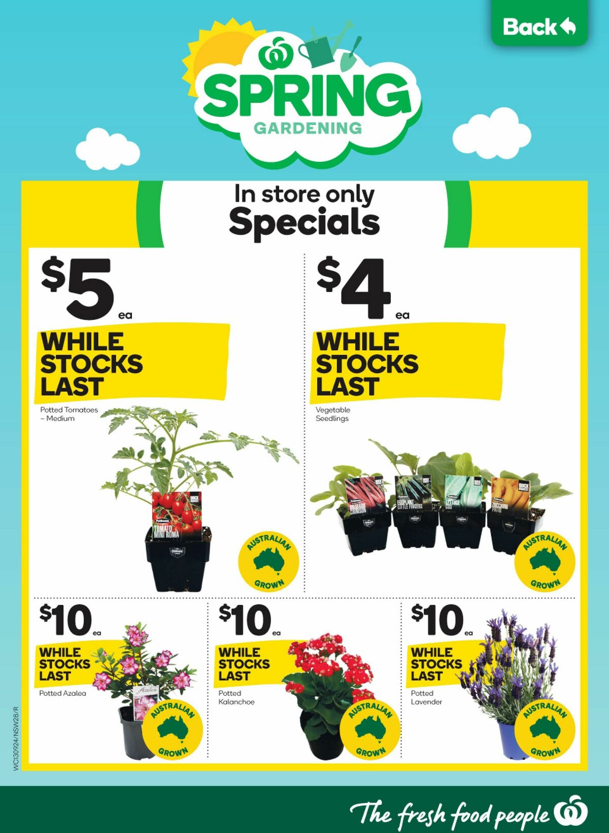 Woolworths Catalogues from 13 September