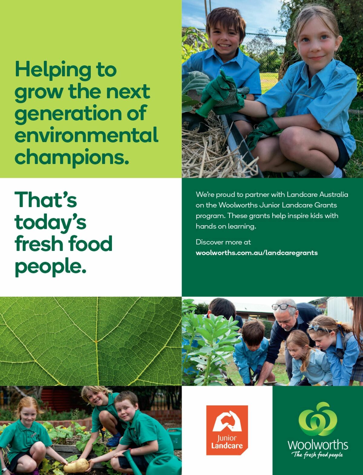 Woolworths Fresh Ideas Magazine October Catalogues from 1 October