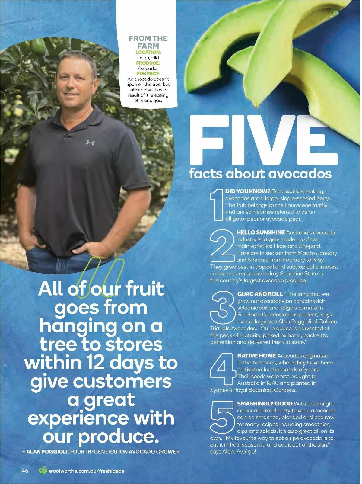 Woolworths Fresh Ideas Magazine May Catalogues from 1 May