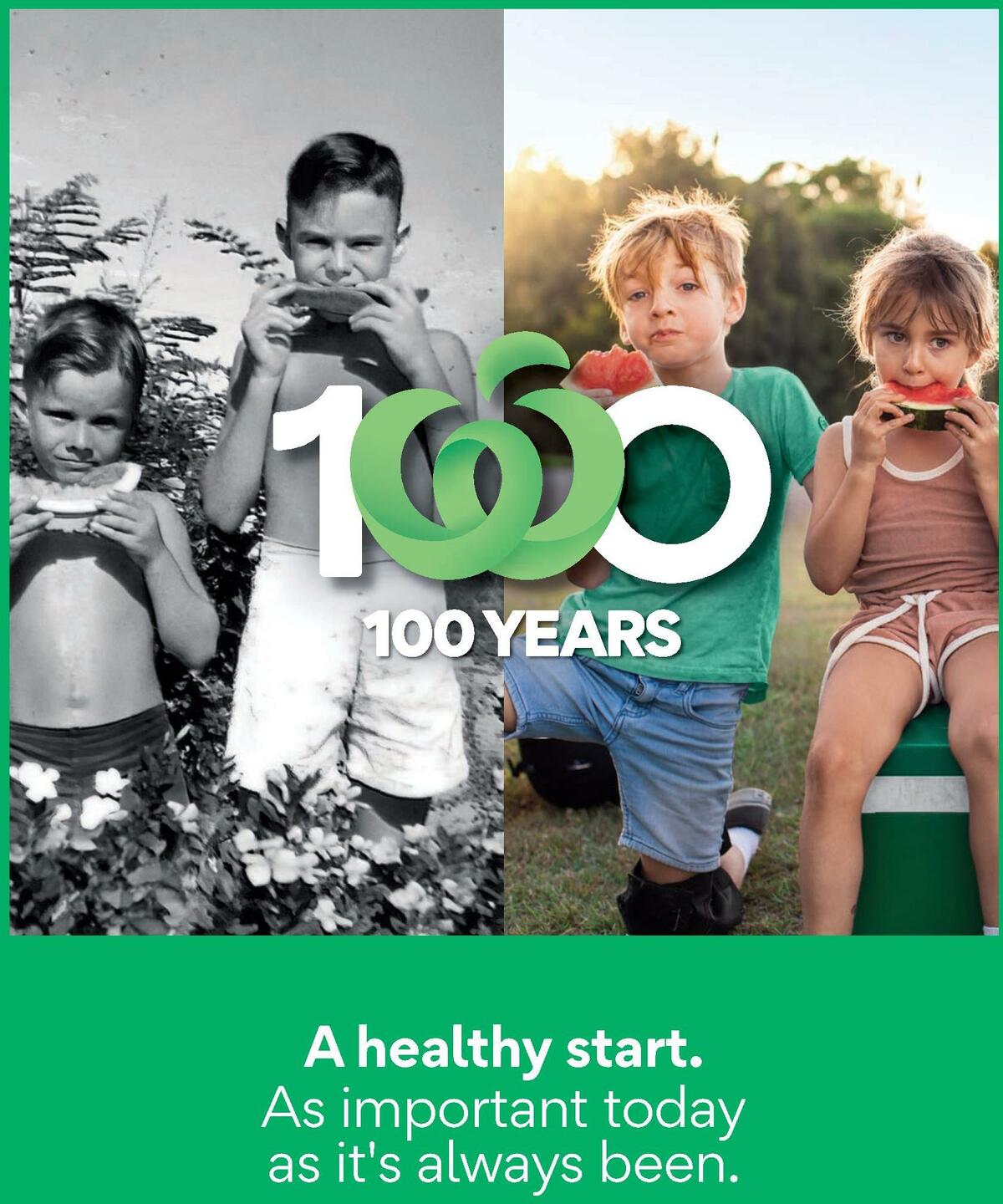 Woolworths Fresh Ideas Magazine November Catalogues from 1 November