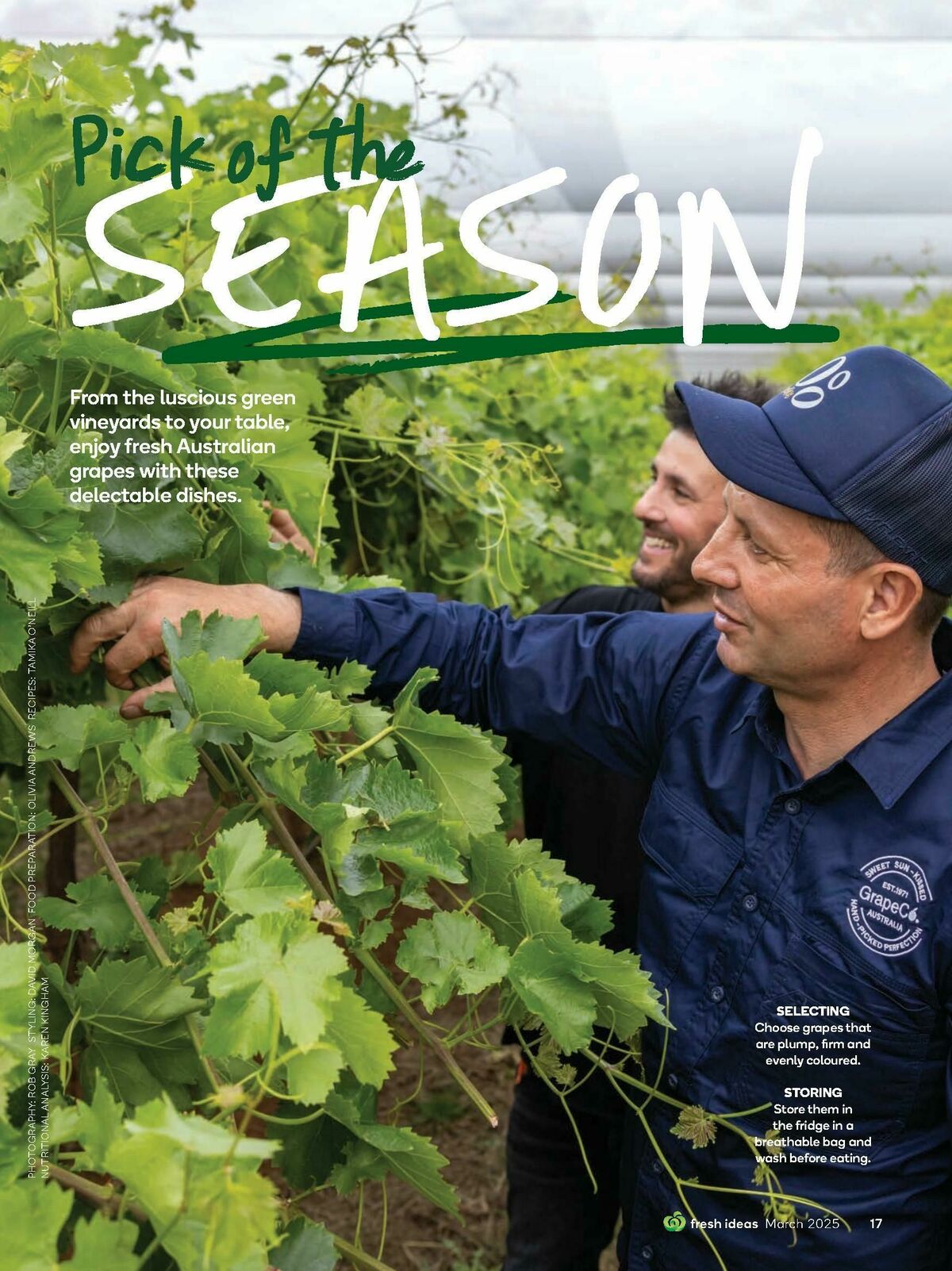 Woolworths Fresh Ideas Magazine March Catalogues from 1 March