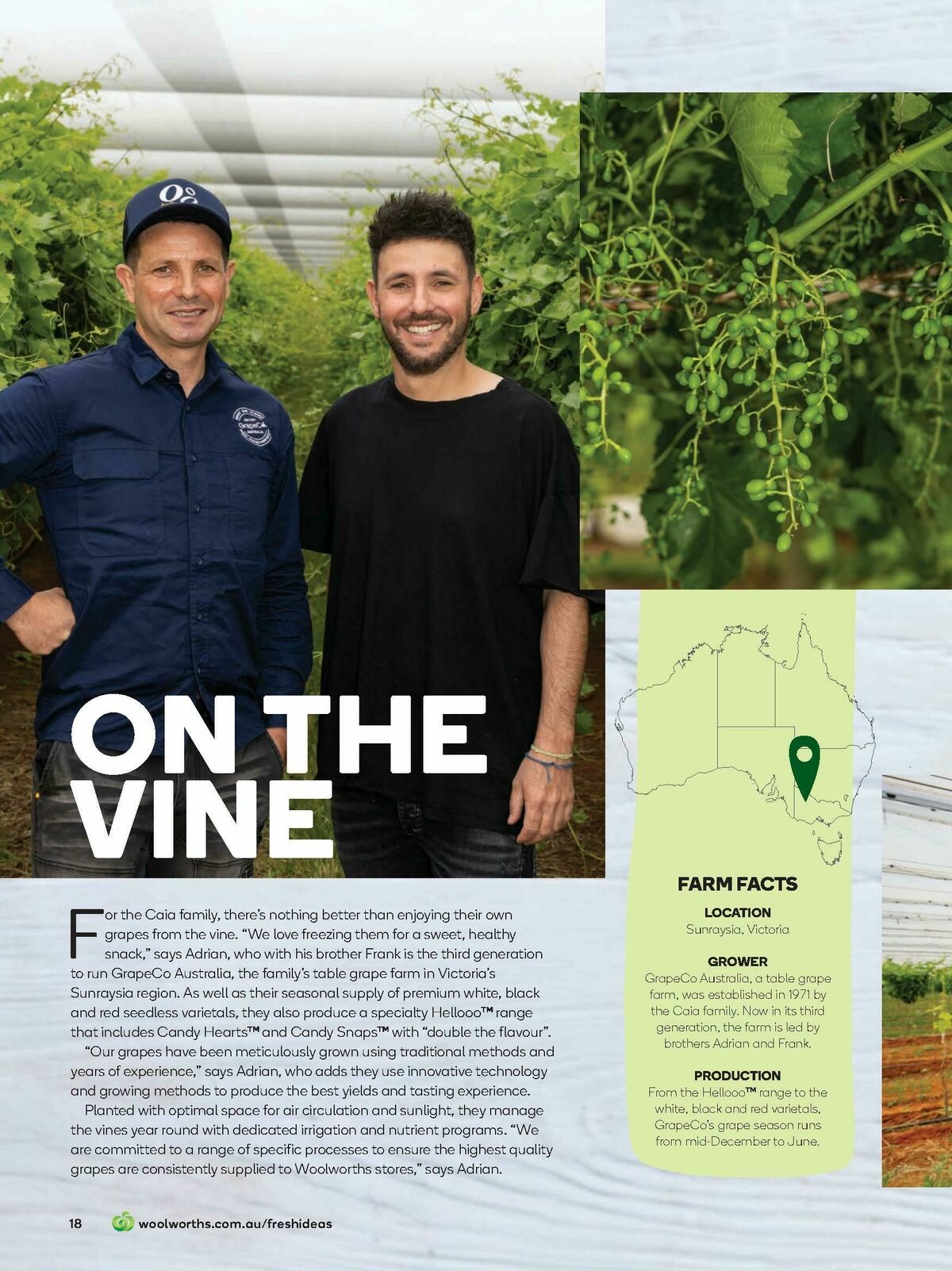 Woolworths Fresh Ideas Magazine March Catalogues from 1 March