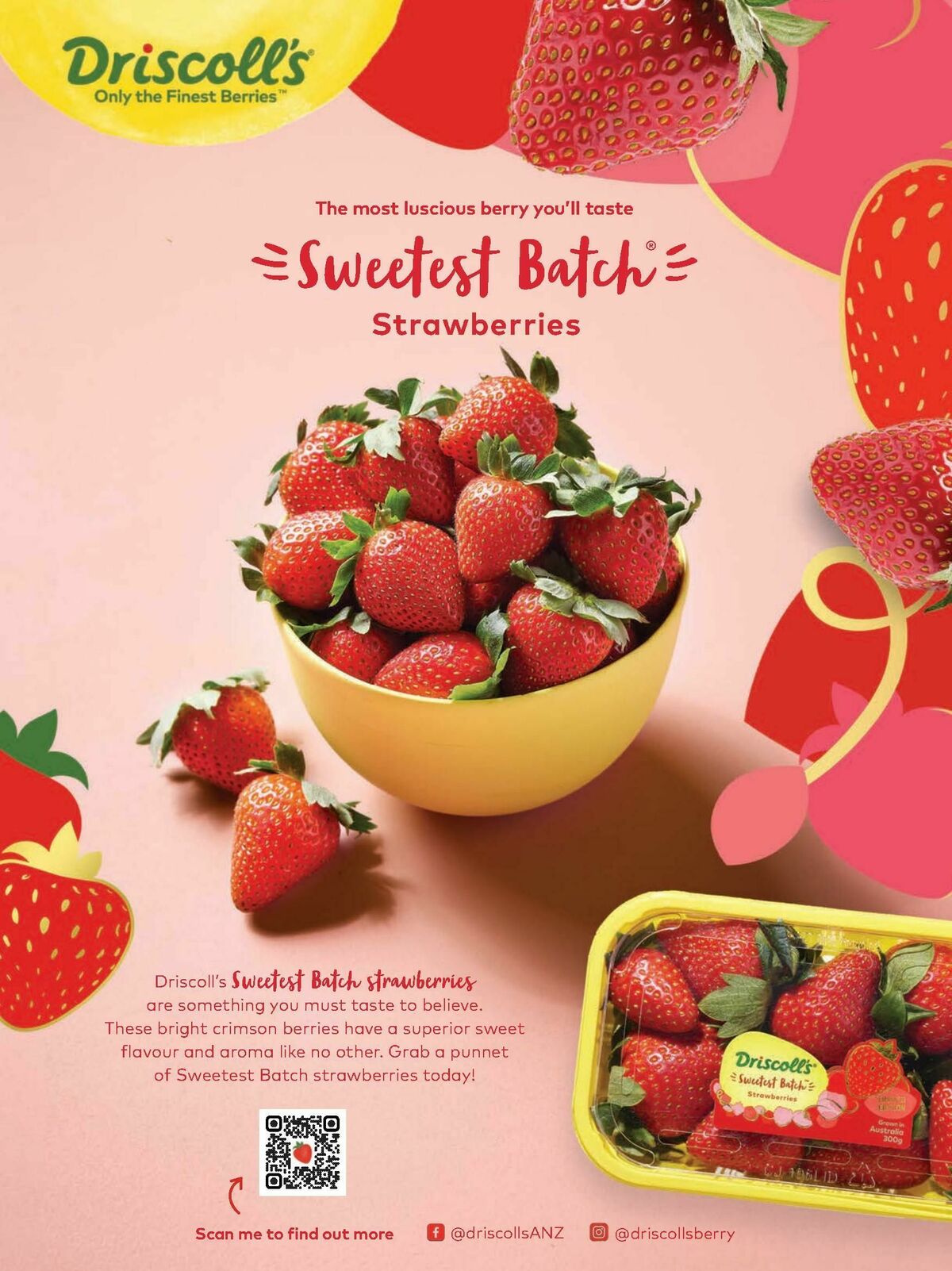 Woolworths Fresh Ideas Magazine March Catalogues from 1 March