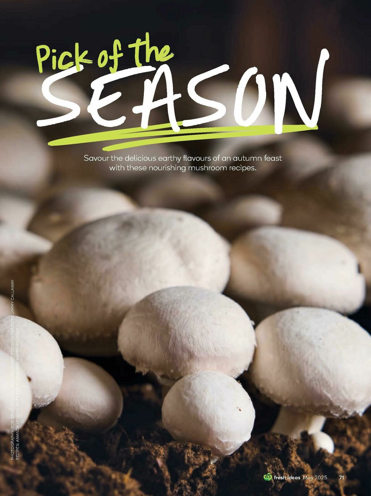 Woolworths Magazine May Catalogues from 1 May