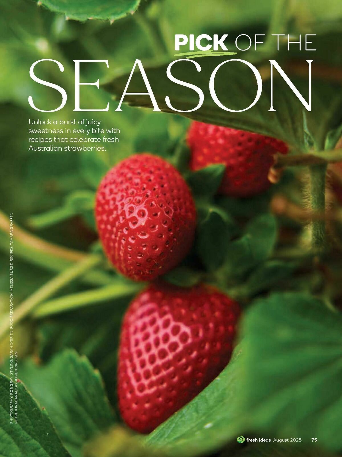 Woolworths Fresh Ideas Magazine August Catalogues from 1 August