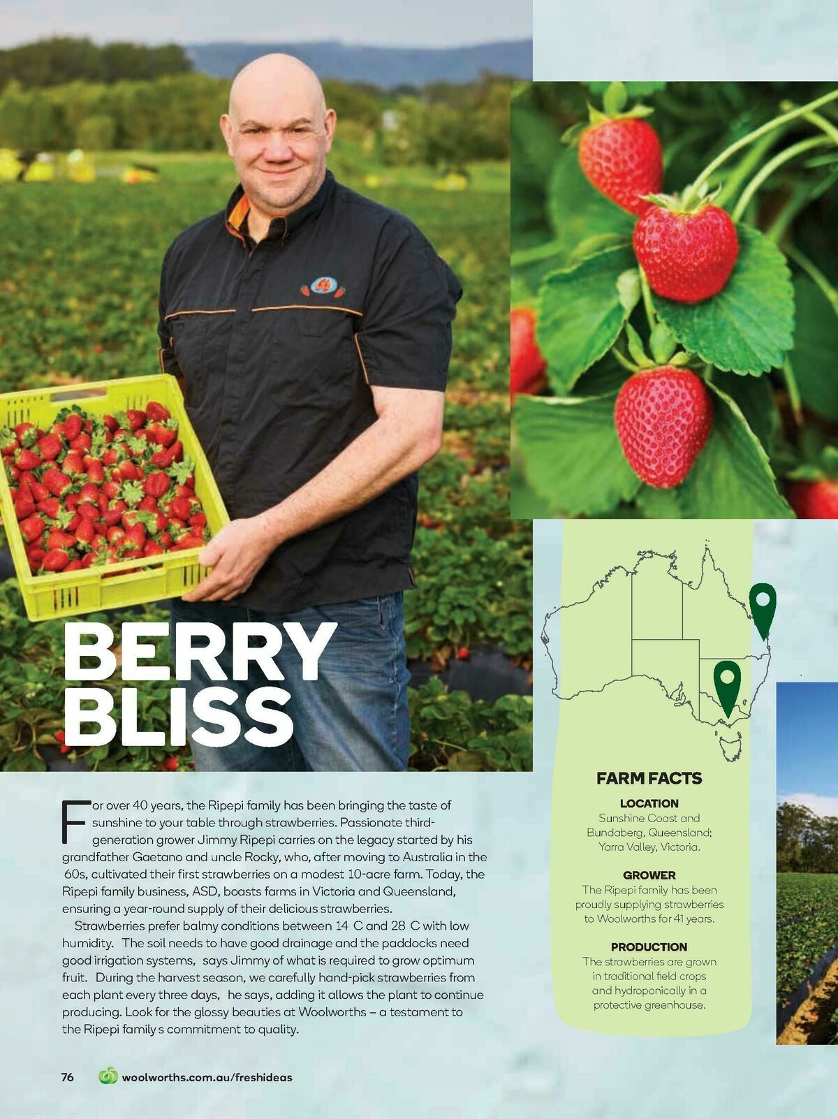 Woolworths Fresh Ideas Magazine August Catalogues from 1 August