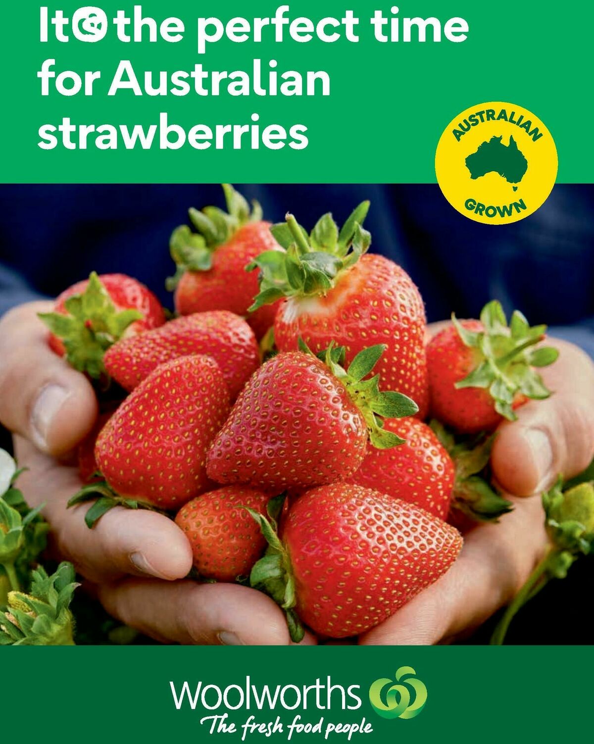 Woolworths Fresh Ideas Magazine August Catalogues from 1 August