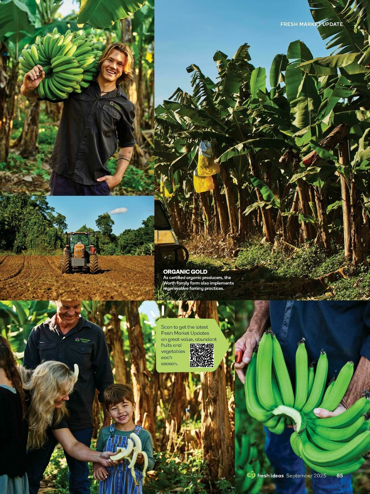 Woolworths Fresh Ideas Magazine September Catalogues from 1 September