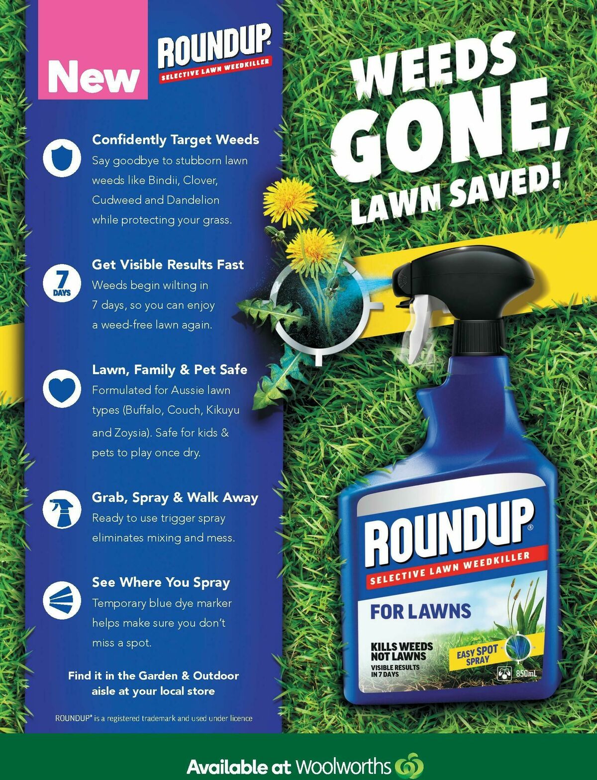 Woolworths Fresh Ideas Magazine September Catalogues from 1 September