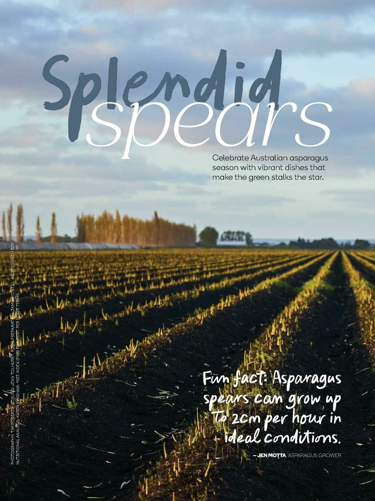 Woolworths Fresh Ideas Magazine October Catalogues from 1 October