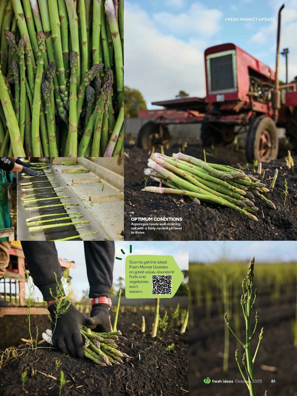 Woolworths Fresh Ideas Magazine October Catalogues from 1 October