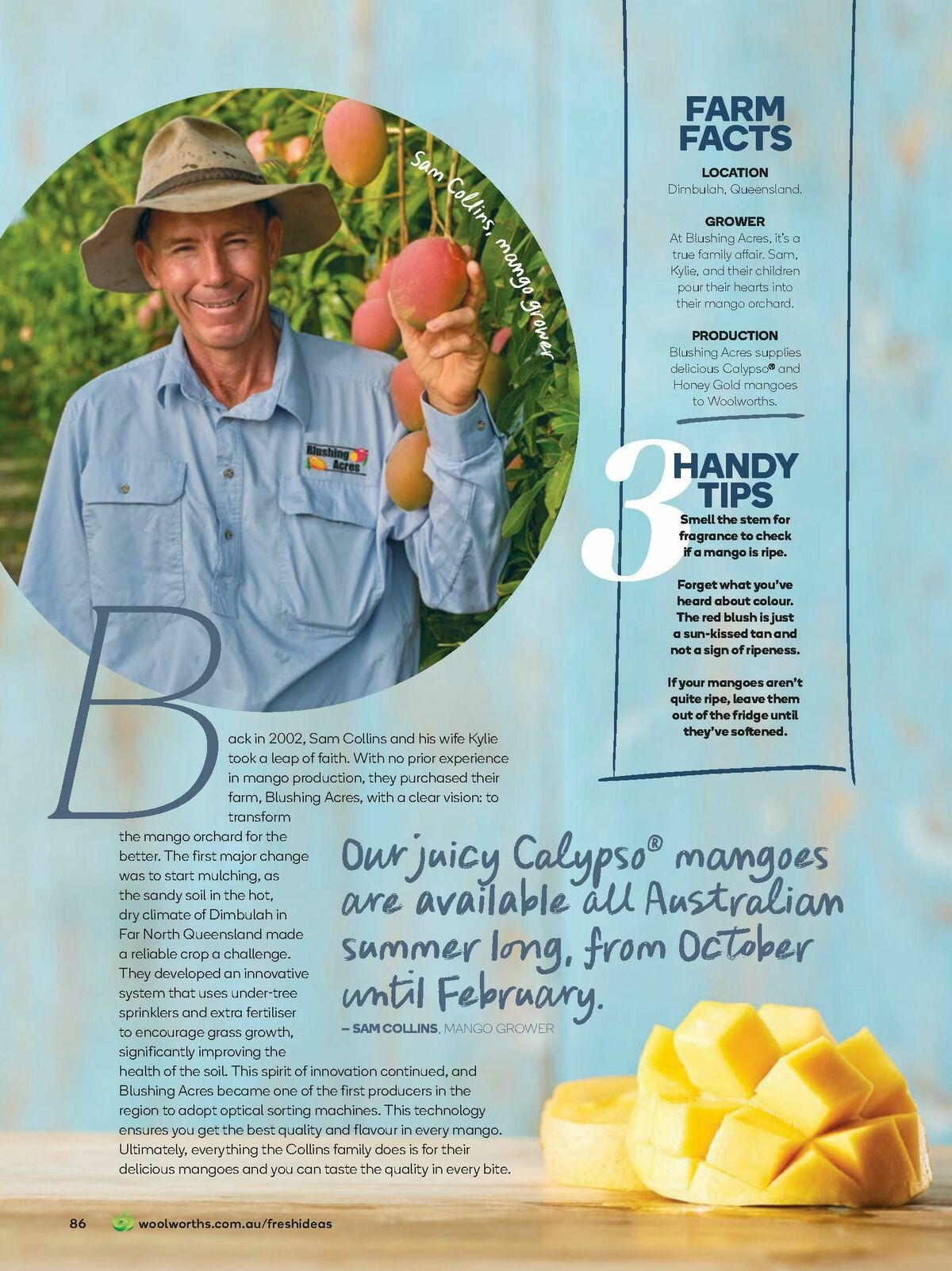 Woolworths Fresh Ideas Magazine November Catalogues from 1 November