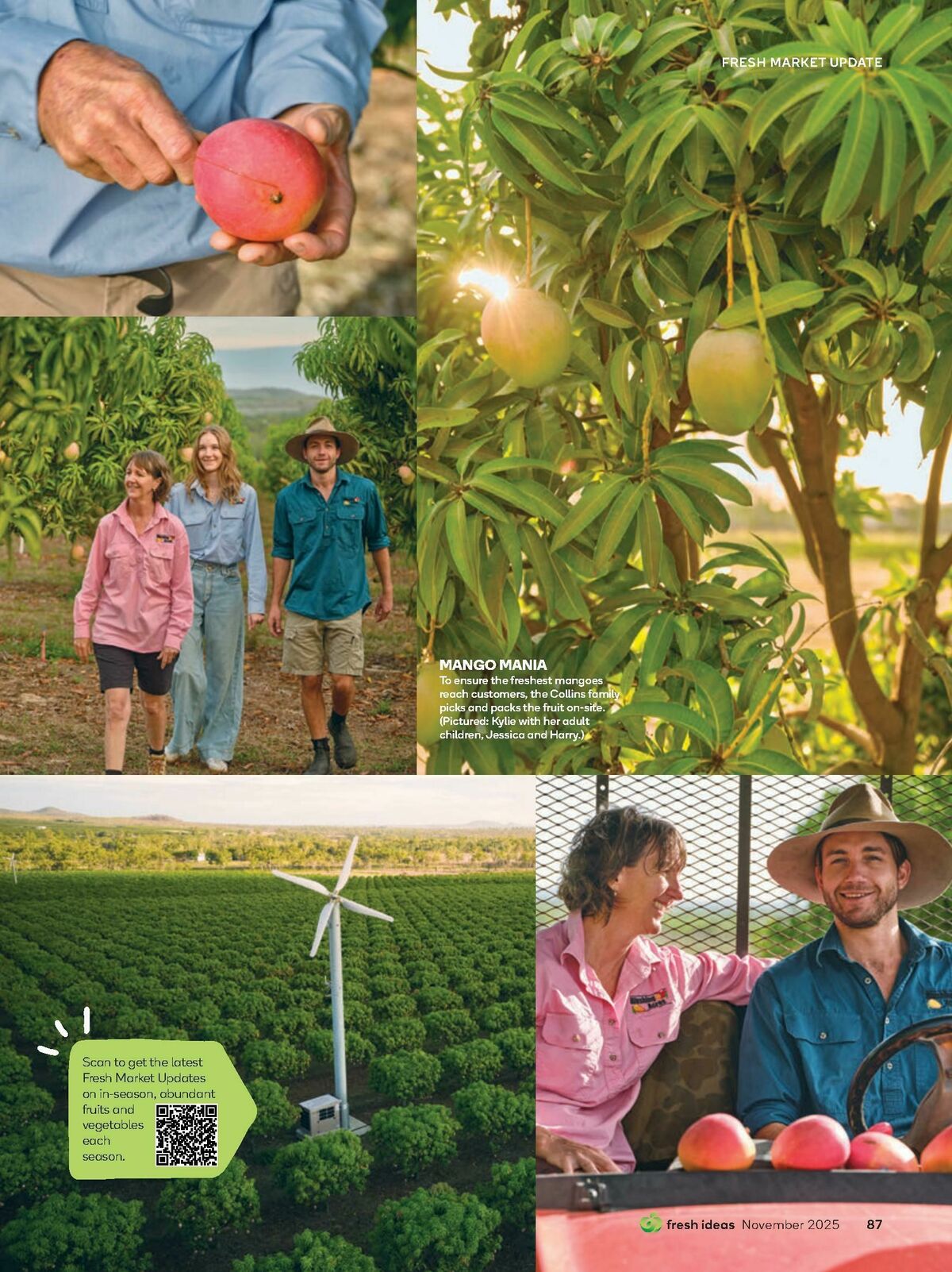 Woolworths Fresh Ideas Magazine November Catalogues from 1 November