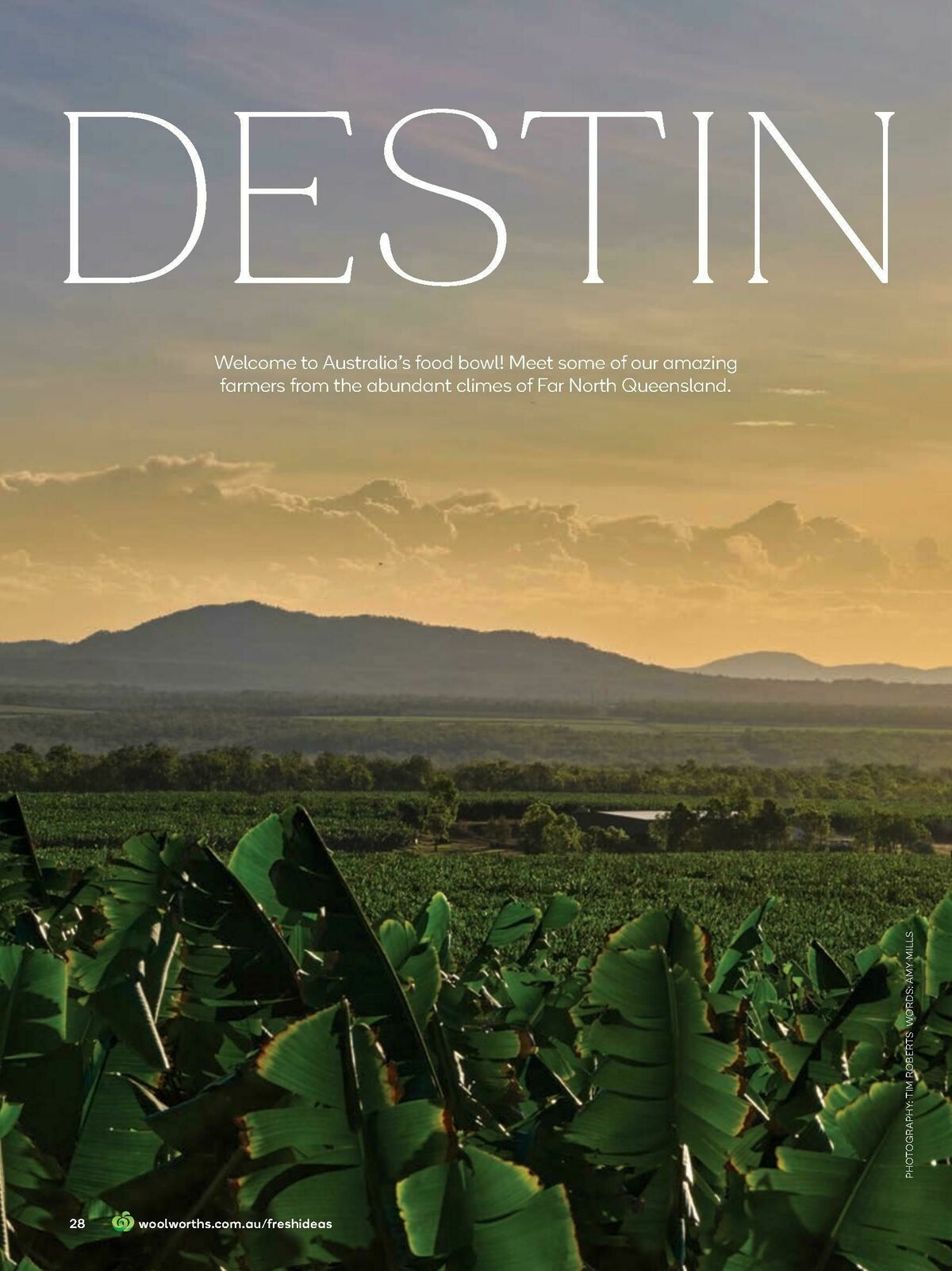 Woolworths Fresh Ideas Magazine December Catalogues from 1 December