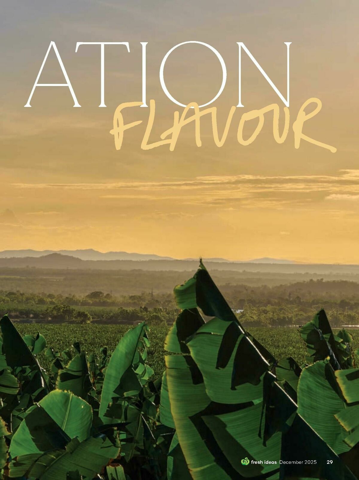 Woolworths Fresh Ideas Magazine December Catalogues from 1 December