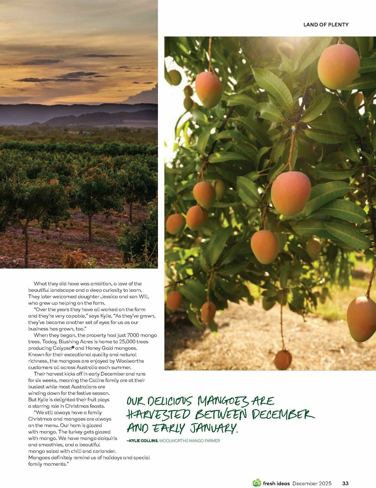 Woolworths Fresh Ideas Magazine December Catalogues from 1 December