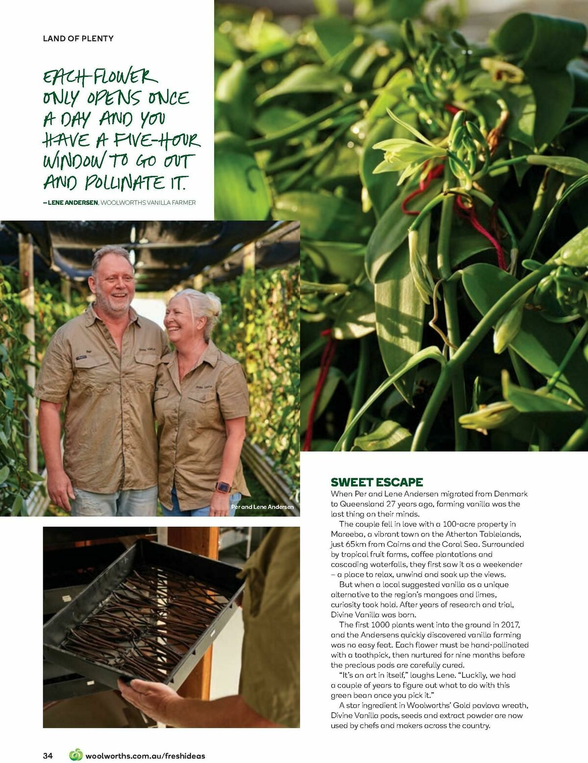 Woolworths Fresh Ideas Magazine December Catalogues from 1 December