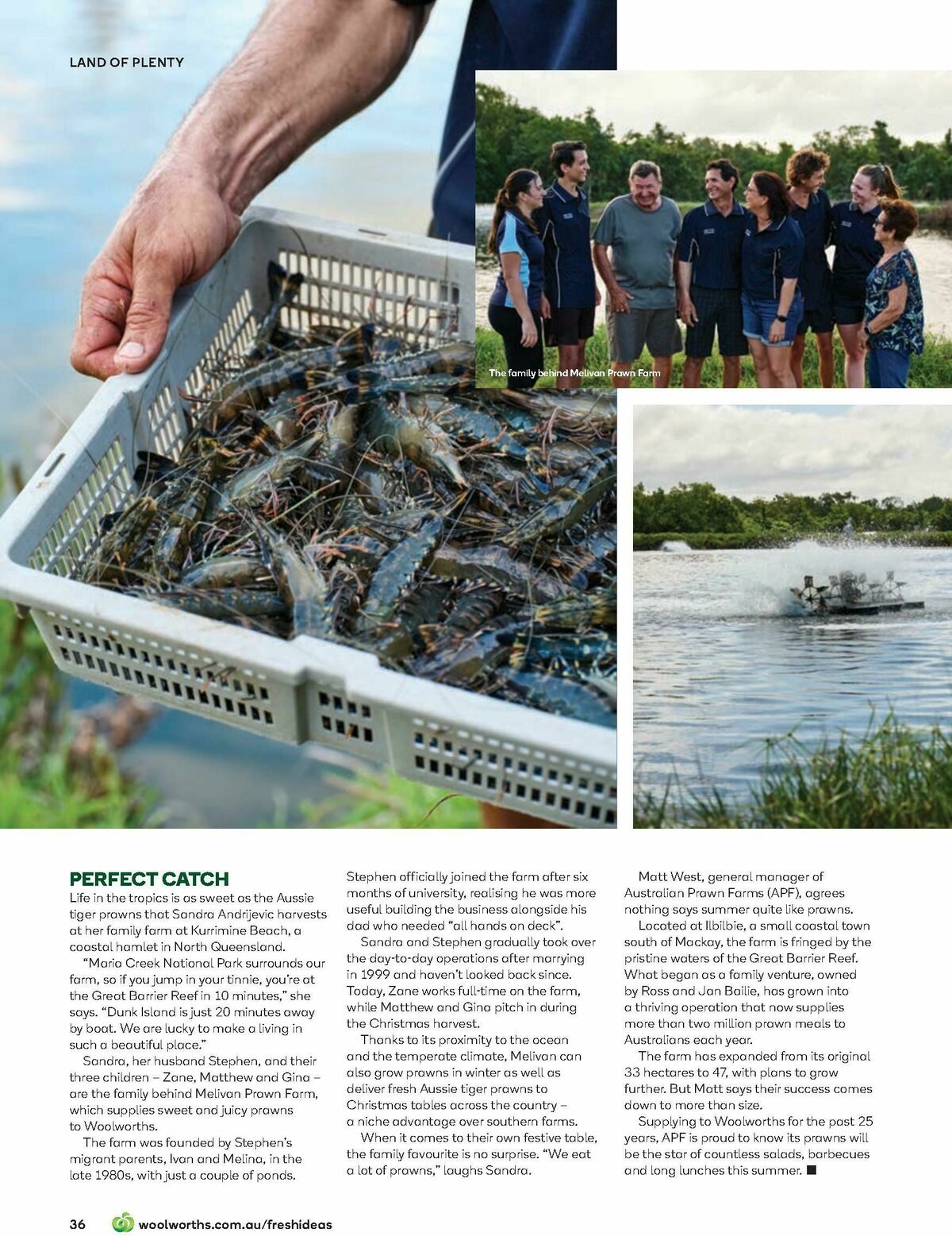 Woolworths Fresh Ideas Magazine December Catalogues from 1 December