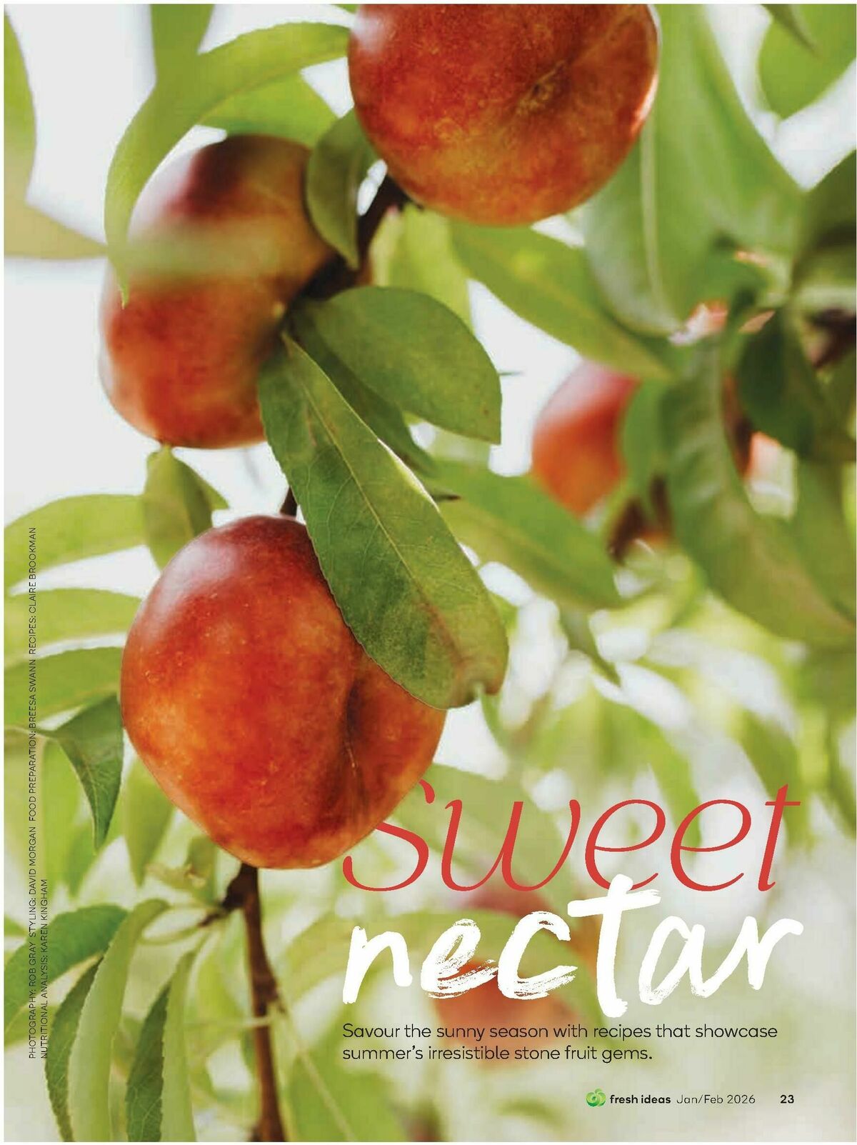 Woolworths Fresh Ideas Magazine January / February Catalogues from 15 January