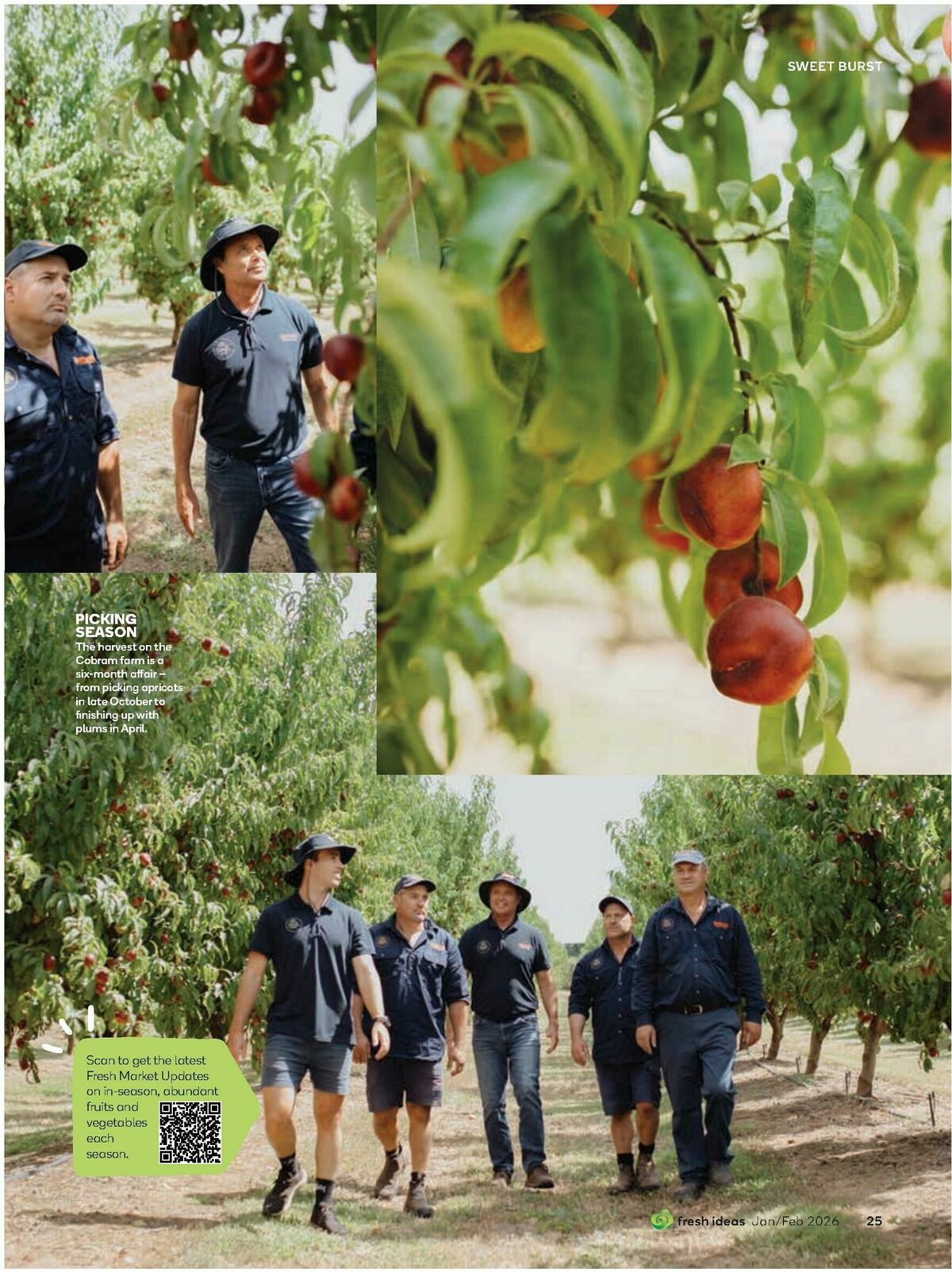 Woolworths Fresh Ideas Magazine January / February Catalogues from 15 January