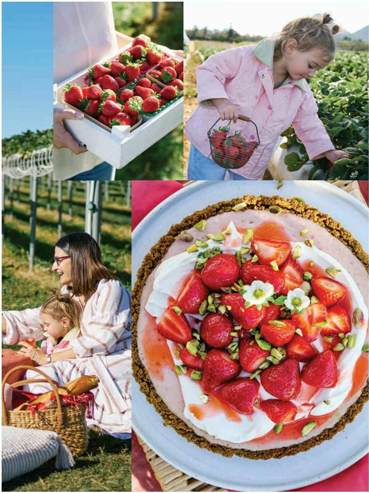 Woolworths Fresh Ideas Magazine September Catalogues from 1 September