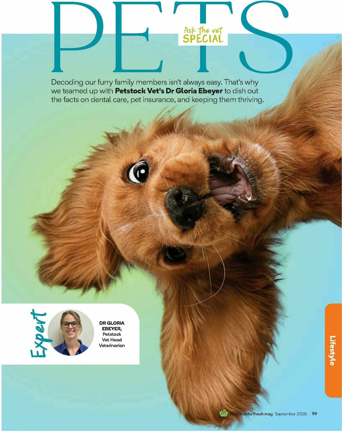 Woolworths Fresh Ideas Magazine September Catalogues from 1 September